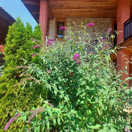 Sozopolis One Bedroom 公寓